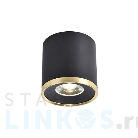 Купить Потолочный светильник Favourite Prakash 3086-2C за 4 500 руб. в Туле фото 2 Купить с доставкой Потолочный светильник Favourite Prakash 3086-2C в Туле фото 2