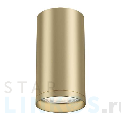 Купить Потолочный светильник Maytoni Focus S C052CL-01MG за 830 руб. в Туле фото 2 Купить с доставкой Потолочный светильник Maytoni Focus S C052CL-01MG в Туле фото 2