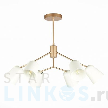 Купить Подвесная люстра Evoluce Mario SLE155902-06 за 11 090 руб. в Туле фото 2 Купить с доставкой Подвесная люстра Evoluce Mario SLE155902-06 в Туле фото 2