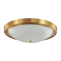 Купить Настенно-потолочный светильник Lumion Vintage Nina 5259/4C в Туле