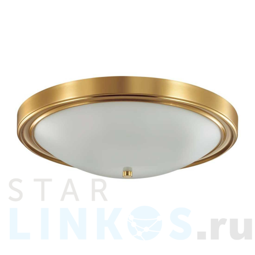 Купить с доставкой Настенно-потолочный светильник Lumion Vintage Nina 5259/4C в Туле