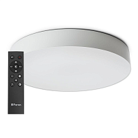 Купить Потолочный светодиодный светильник Feron Simple matte AL6200 48071 в Туле