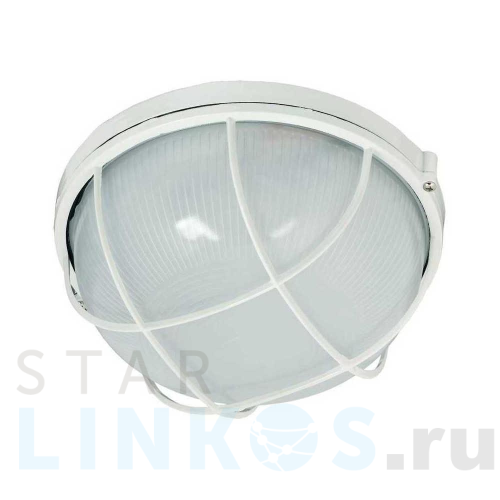 Купить с доставкой Настенно-потолочный светильник IEK НПП LNPP0-1102-1-100-K01 в Туле