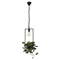 Купить Подвесной светильник Favourite Situla 1975-1P в Туле