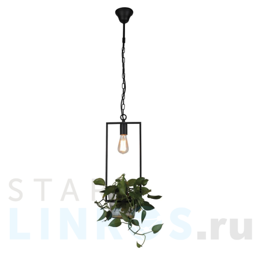 Купить Подвесной светильник Favourite Situla 1975-1P за 12 000 руб. в Туле Купить с доставкой Подвесной светильник Favourite Situla 1975-1P в Туле