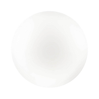 Купить Настенно-потолочный светильник Sonex Pale Simple 3017/DL в Туле
