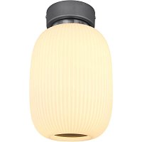 Купить Потолочный светодиодный светильник Globo Boomer 15437D1 в Туле