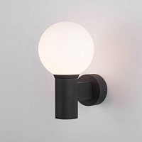 Купить Уличный настенный светильник Elektrostandard Sfera 35126/D черный a060122 в Туле