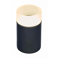 Купить Потолочный светильник IMEX Leon IL.0005.1500 BK в Туле