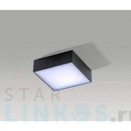 Купить Накладной светильник Azzardo Falco 12 4000K AZ2783 за 9 810 руб. в Туле фото 2 Купить с доставкой Накладной светильник Azzardo Falco 12 4000K AZ2783 в Туле фото 2