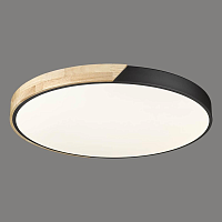 Купить Потолочный светодиодный светильник Velante 445-667-01 в Туле