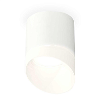 Купить Комплект потолочного светильника Ambrella light Techno Spot XS (C7401, N7175) XS7401046 в Туле