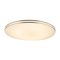 Купить Потолочный светодиодный светильник Globo Pierre 48388-24 в Туле