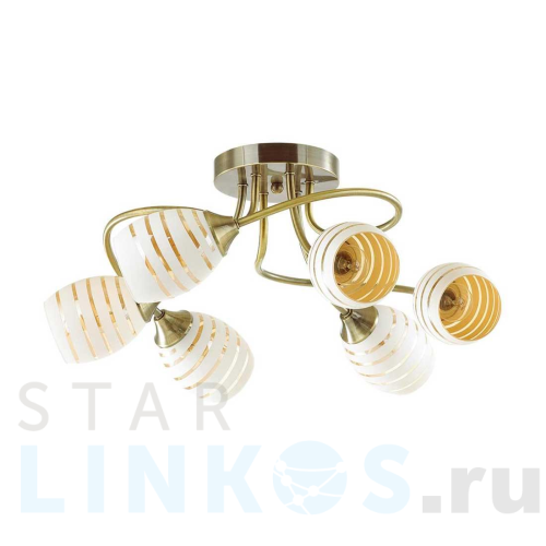 Купить Потолочная люстра Lumion Comfi Dorothy 4528/6C за 3 600 руб. в Туле Купить с доставкой Потолочная люстра Lumion Comfi Dorothy 4528/6C в Туле