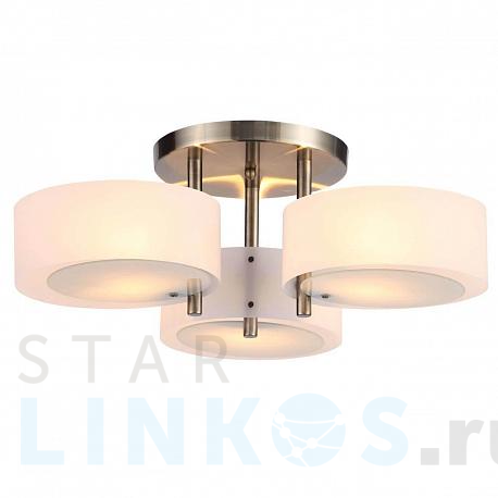 Купить Потолочная люстра Evoluce Foresta SL483.352.03 за 13 720 руб. в Туле фото 2 Купить с доставкой Потолочная люстра Evoluce Foresta SL483.352.03 в Туле фото 2