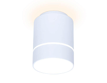 Купить Потолочный светодиодный светильник Ambrella light Techno Spot TN256 в Туле