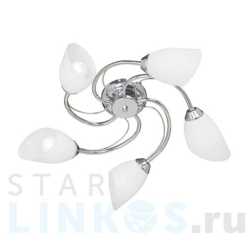 Купить Потолочная люстра Vitaluce V3236/5PL за 5 174 руб. в Туле Купить с доставкой Потолочная люстра Vitaluce V3236/5PL в Туле