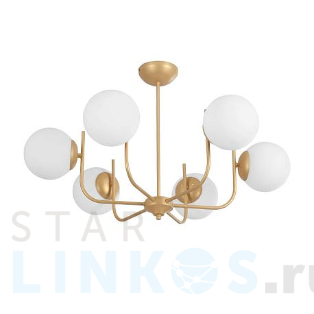 Купить Потолочная люстра Vitaluce V3957-8/6PL за 12 245 руб. в Туле фото 2 Купить с доставкой Потолочная люстра Vitaluce V3957-8/6PL в Туле фото 2