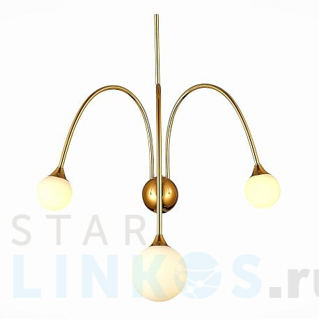 Купить Настенный светильник ST Luce Vive SL1187.201.03 за 11 680 руб. в Туле фото 2 Купить с доставкой Настенный светильник ST Luce Vive SL1187.201.03 в Туле фото 2