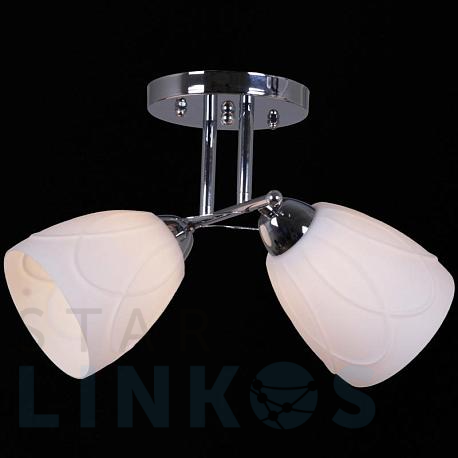 Купить Потолочный светильник Reluce 12452-0.3-02 за 1 640 руб. в Туле фото 2 Купить с доставкой Потолочный светильник Reluce 12452-0.3-02 в Туле фото 2