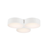 Купить Потолочный светильник Favourite Cerchi 1515-6C в Туле