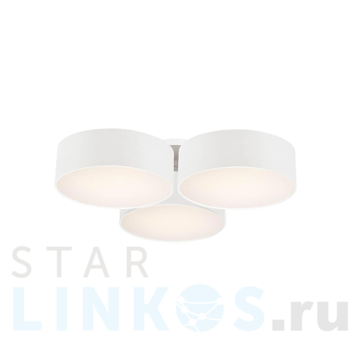 Купить Потолочный светильник Favourite Cerchi 1515-6C за 30 900 руб. в Туле Купить с доставкой Потолочный светильник Favourite Cerchi 1515-6C в Туле