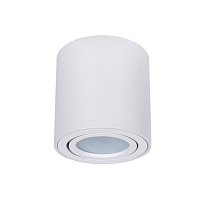 Купить Потолочный светильник Arte Lamp Beid A1513PL-1WH в Туле