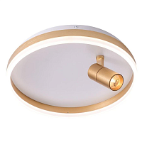 Купить Потолочный светодиодный светильник Zortes Raizy ZRS.1888.04 в Туле