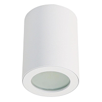 Купить Потолочный светильник Fametto Sotto DLC-S606 GU10 IP44 White в Туле