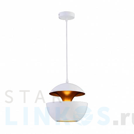 Купить Подвесной светильник Loft IT Apple LOFT2213-A за 9 270 руб. в Туле фото 2 Купить с доставкой Подвесной светильник Loft IT Apple LOFT2213-A в Туле фото 2