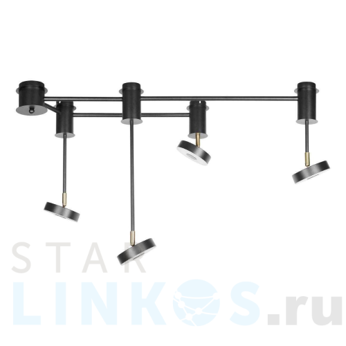 Купить Потолочный светильник LOFT IT Flock 10189/1000 за 22 090 руб. в Туле Купить с доставкой Потолочный светильник LOFT IT Flock 10189/1000 в Туле