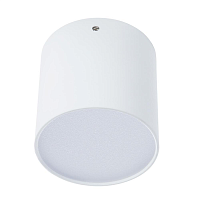 Купить Потолочный светильник Divinare Tubo 1463/03 PL-1 в Туле