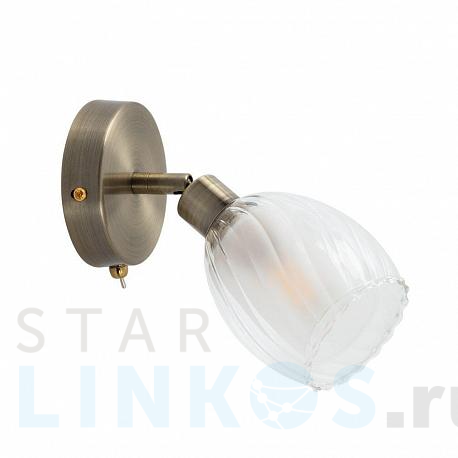 Купить Спот Arte Lamp Biham A3184AP-1AB за 1 200 руб. в Туле фото 2 Купить с доставкой Спот Arte Lamp Biham A3184AP-1AB в Туле фото 2