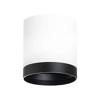 Купить Потолочный светильник Lightstar Rullo (213486+203487) R34863487 в Туле