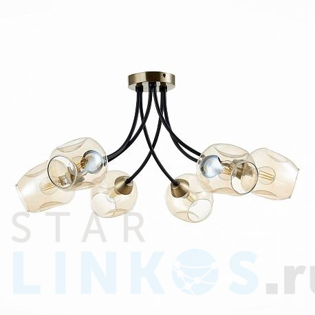 Купить Потолочная люстра Evoluce Besano SLE205302-06 за 10 340 руб. в Туле фото 2 Купить с доставкой Потолочная люстра Evoluce Besano SLE205302-06 в Туле фото 2