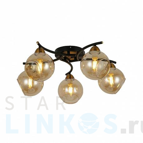 Купить Потолочная люстра Hiper Indira H182-5 за 8 540 руб. в Туле фото 2 Купить с доставкой Потолочная люстра Hiper Indira H182-5 в Туле фото 2