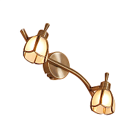 Купить Спот Citilux Альтен CL522521 в Туле