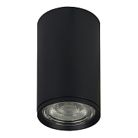Купить Потолочный светильник Escada 20001SMU/01 SBK в Туле