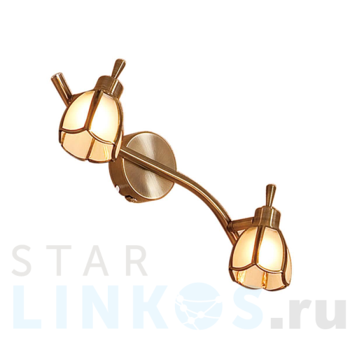 Купить с доставкой Спот Citilux Альтен CL522521 в Туле