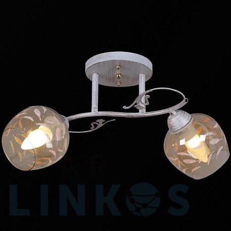 Купить Потолочный светильник Reluce 12458-0.3-02 за 1 640 руб. в Туле фото 2 Купить с доставкой Потолочный светильник Reluce 12458-0.3-02 в Туле фото 2