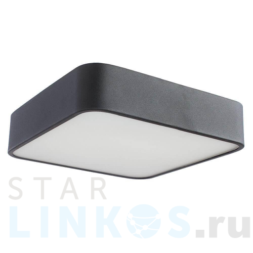 Купить Потолочный светильник Arte Lamp Cosmopolitan A7210PL-2BK за 7 010 руб. в Туле Купить с доставкой Потолочный светильник Arte Lamp Cosmopolitan A7210PL-2BK в Туле