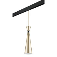 Купить Трековый светильник Lightstar Dumo (816313+595007) PRO816313 в Туле