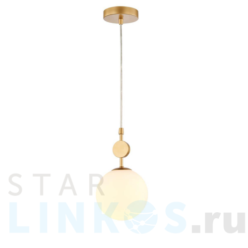 Купить Подвесной светильник Favourite Absolute 2928-1P за 8 900 руб. в Туле Купить с доставкой Подвесной светильник Favourite Absolute 2928-1P в Туле