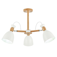 Купить Потолочная люстра Evoluce Balcamo SLE103802-03 в Туле