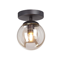 Купить Потолочный светильник Vitaluce V3962-1/1PL в Туле