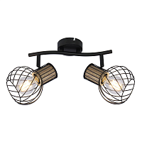 Купить Спот Globo Luise 54012-2S в Туле