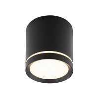 Купить Накладной светодиодный светильник Denkirs DK4016-BK в Туле