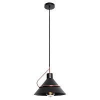 Купить Подвесной светильник Lussole Lgo Bossier GRLSP-8265 в Туле