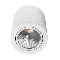 Купить Потолочный светодиодный светильник Arlight SP-Focus-R120-16W Day White 021426 в Туле