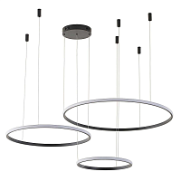 Купить Подвесной светильник Zortes RINGOLIGHT ZRS.33320.120F в Туле